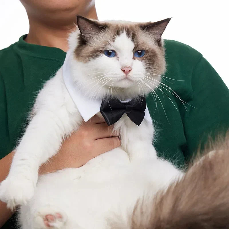 Regulowana muszka dla psa i kota