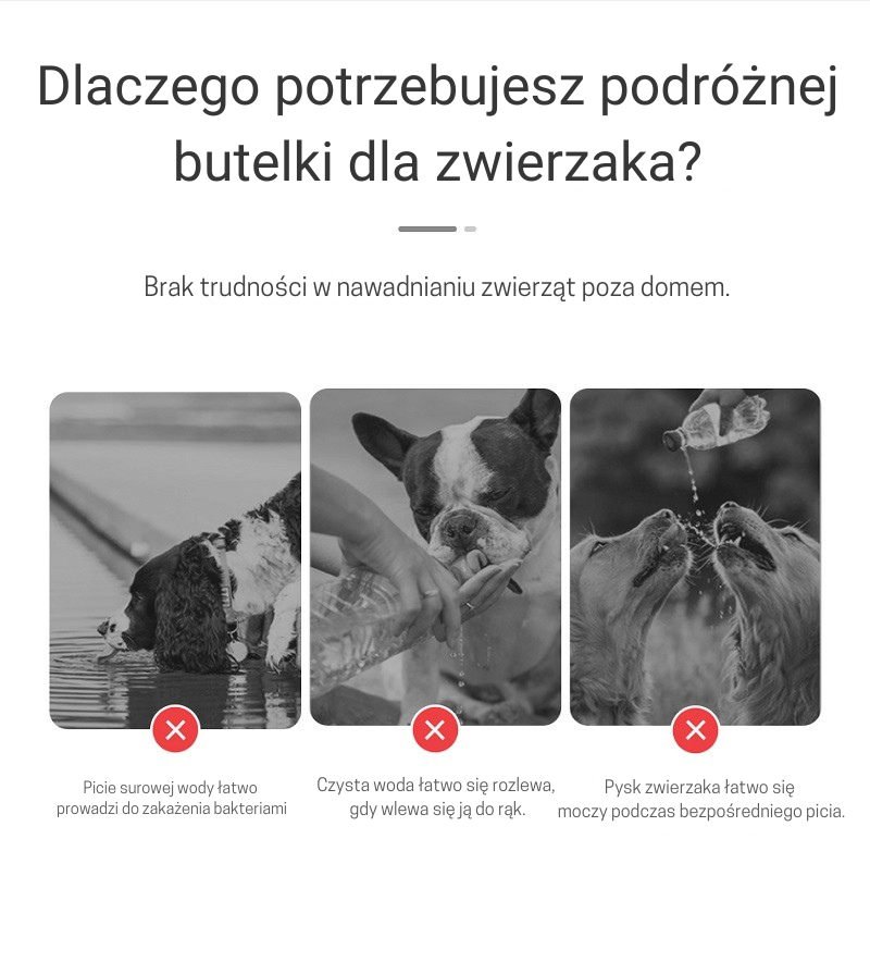 Przenośna butelka na wodę dla psa